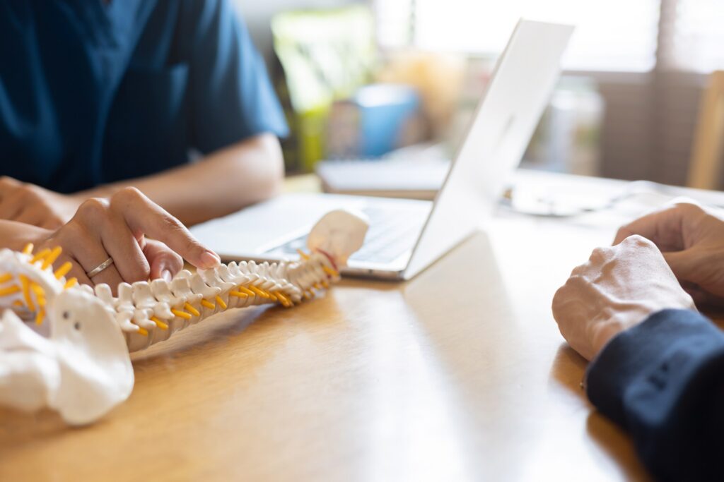 A medical professional points to a plastic anatomical model of a human spine and pelvis during a consultation at a desk with a laptop, representing the documentation of physical trauma managed by Wellington personal injury lawyers.