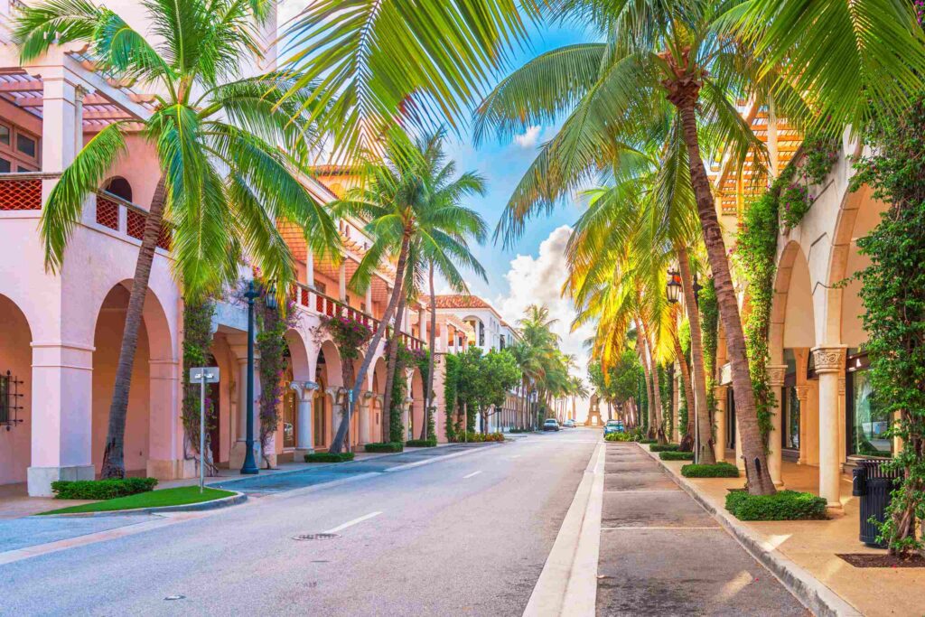 A palm tree lined street in Florida representing the local area served by Palm Beach Gardens Uber & Lyft accident lawyers.